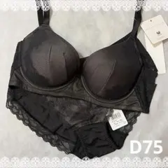 diana ダイアナ ブラックフォーマル ブラジャー 新品未使用 D75 - メルカリ