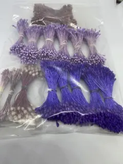 Item thumbnail for item e7bbce0d-4e1c-4d11-a1d2-7b95ab309ce9