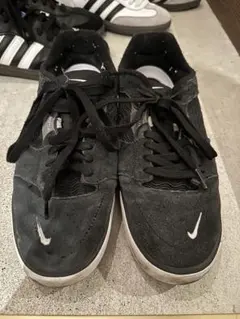 Nike SB ishod
