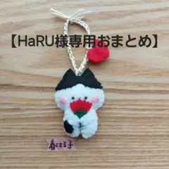【HaRU様専用おまとめ】