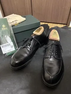 ⭐︎美品⭐︎ No.8 Alden US8 1/2Dモディファイドラスト Alden] D9521 別注 モディファイド カラー8 コードバン PCT (ALDEN