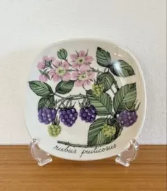 2025年最新】アラビア ボタニカの人気アイテム - メルカリ