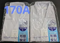 Item thumbnail for item 1b2b7ca9-5102-4710-9789-8e419805c463