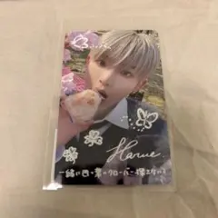 &TEAM 月狼 ウィバース ラキドロ ハルア トレカ