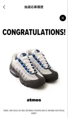 ナイキ エアマックス95 OG 