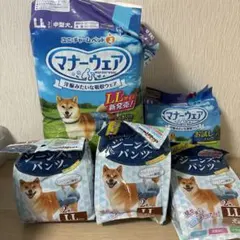 Item thumbnail for item 02731800-c6de-40fc-9204-db53c74dbd7c