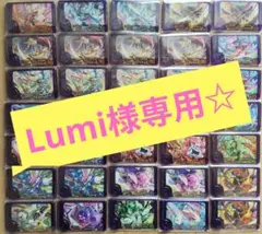 Lumi様専用☆
