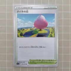 ダイ木の丘 U s5a 070/070
