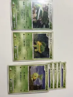 ポケモンカード ドダイドス ハヤシガメ ナエトル 合計7枚セット