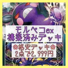 【格安‪✿2点で2,999円】モルペコexデッキ 構築済みデッキのサムネイル
