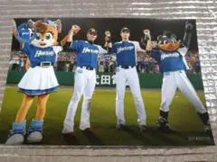 大谷翔平 2014 ハイライトフォト No.290 日本ハム 球団公式写真