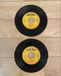 GREAT TRAIN リディム 2枚セットTony Rebel Bushman