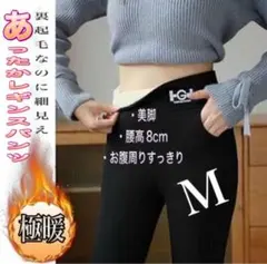 Item thumbnail for item 644cc523-52e8-4df6-af81-244f3ab6f8a9