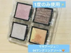 マキアージュ カスタマイズアイカラー アソート 04マンダリンアソート