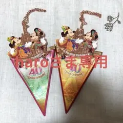 東京ディズニーランド 40周年 ガーランド・バッグチャーム　ペアセット