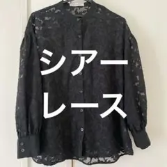 シアー　シャツ　ブラウス　花柄　レース　ブラック　レディース