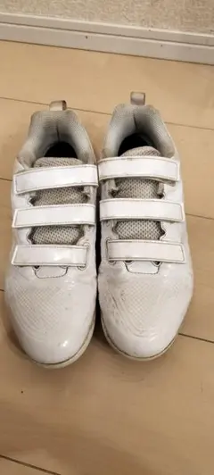 Item thumbnail for item a32bf8e0-e959-4e05-bebd-b8e16a0ee988