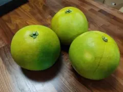 Item thumbnail for item bf8906ee-4213-4409-96ca-a049ee5d8aa5