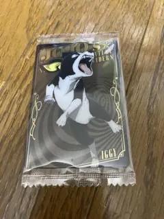 ジョジョの奇妙な冒険　3部 ウエハースカード　イギー