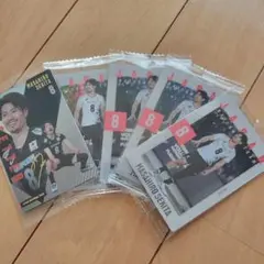 男子バレーツインウエハース 関田