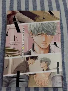 アノマリーライフ 上
