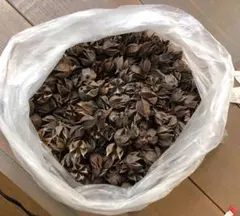 Item thumbnail for item fd2ef99b-ecae-4698-9b07-029a9714c99b