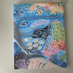 【レア！】沖縄美ら海水族館　観察ガイド