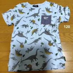 クレードスコープ 恐竜柄 Tシャツ 120