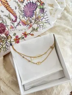 DIOR♡Petit CD ダブル ネックレス