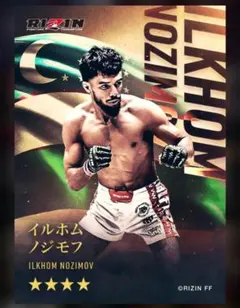 ライコレリアルカード イルホム COLLECTION（ライコレ） CARD RIZIN ノジモフ その他