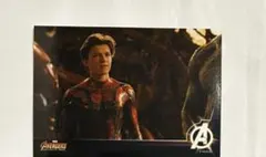2026年最新】フォトカードコレクショ アベンジャーズの人気アイテム