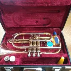 Item thumbnail for item 11484822-054d-47cb-aa05-9947a9fa839f