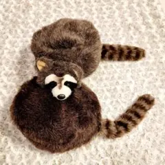 2025年最新】アライグマ ファーストの人気アイテム - メルカリ