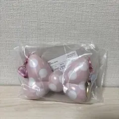ディズニー パルパルーザ ミニー ファンダーランド スナックケース