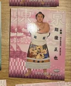 BBM 2026 大相撲カード 豊昇龍 智勝 ① - メルカリ