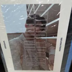 seventeen incomplete ミニフォトブック WOOZI　未開封