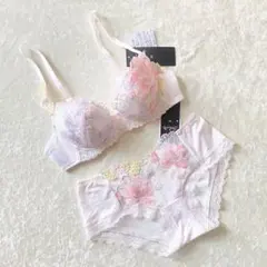 ☆お値下げ中☆WacoalワコールSaluteサルートブラジャーショーツC65M