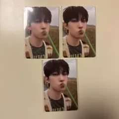 【りちゃん様専用】ALD1 オリヤン ラキドロ ゴヌ