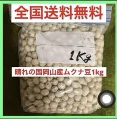 晴れの国岡山産ムクナ豆1kg自然農