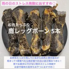 ポコ様 リクエスト 2点 まとめ商品