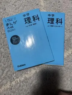 Item thumbnail for item 562cd1c5-5266-4093-b3a5-9a77f55a749d