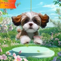 ダダ（プロフご覧ください）様 リクエスト 2点 まとめ商品