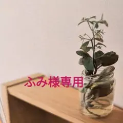 【ふみ】様専用　ヌビバック マチ付きトートバッグ