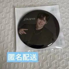 RIIZE RIIZINGLOUD ランダムトイ 缶バッジ ウンソク