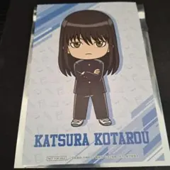 銀魂 ドン・キホーテ 3年Z組 銀八先生 ポストカード 特典 桂小太郎