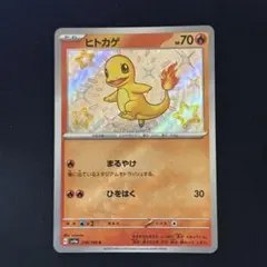 ヒトカゲ S 210/190