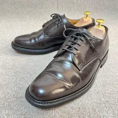 ✨美品✨REGAL プレーントゥ2504ガラスレザー 本革靴 ブラック25EE