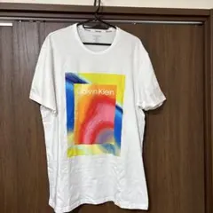 Calvin Klein カラフル Tシャツ Lのサムネイル
