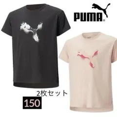 Item thumbnail for item 88e27ff8-d484-46ac-9a47-ad71e283160f