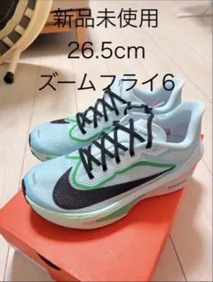 Item thumbnail for item bd070d49-b8d5-4f71-9bc2-04ef35644205